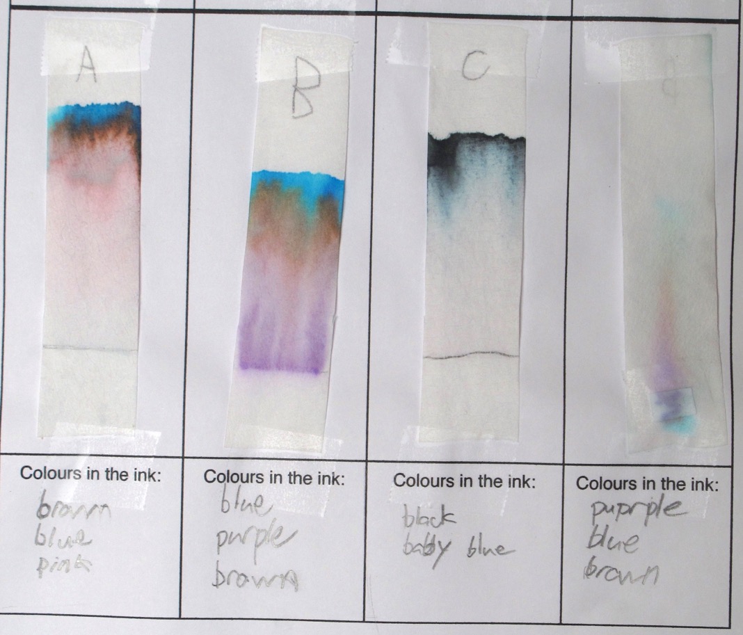 ink separation paper chromatography